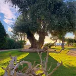 Voce Del Mare Bed & Breakfast Tertenìa